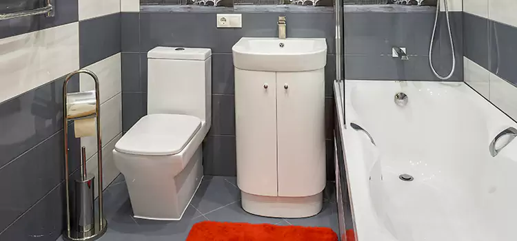 Hansgrohe Shaving Mirror Simpsonville
