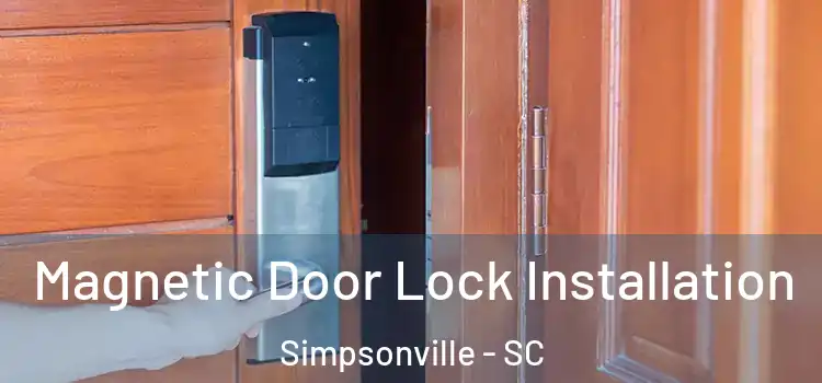  Magnetic Door Lock Installation Simpsonville - SC