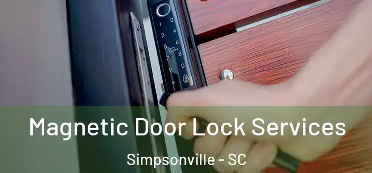 Magnetic Door Lock Services Simpsonville - SC