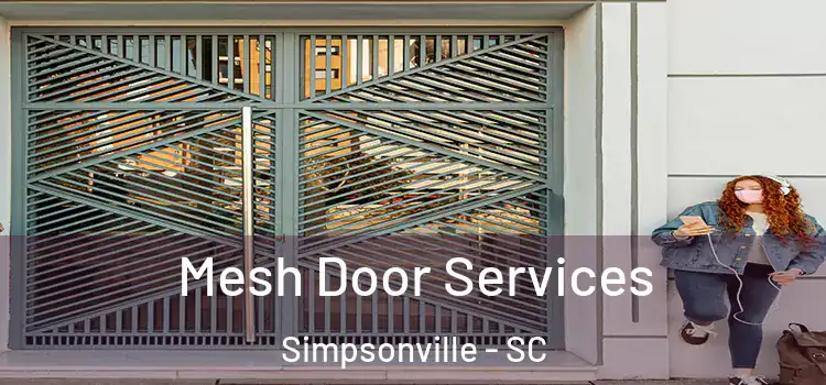 Mesh Door Services Simpsonville - SC